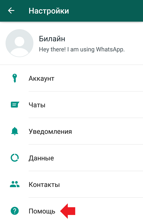 Как обратиться в техподдержку WhatsApp